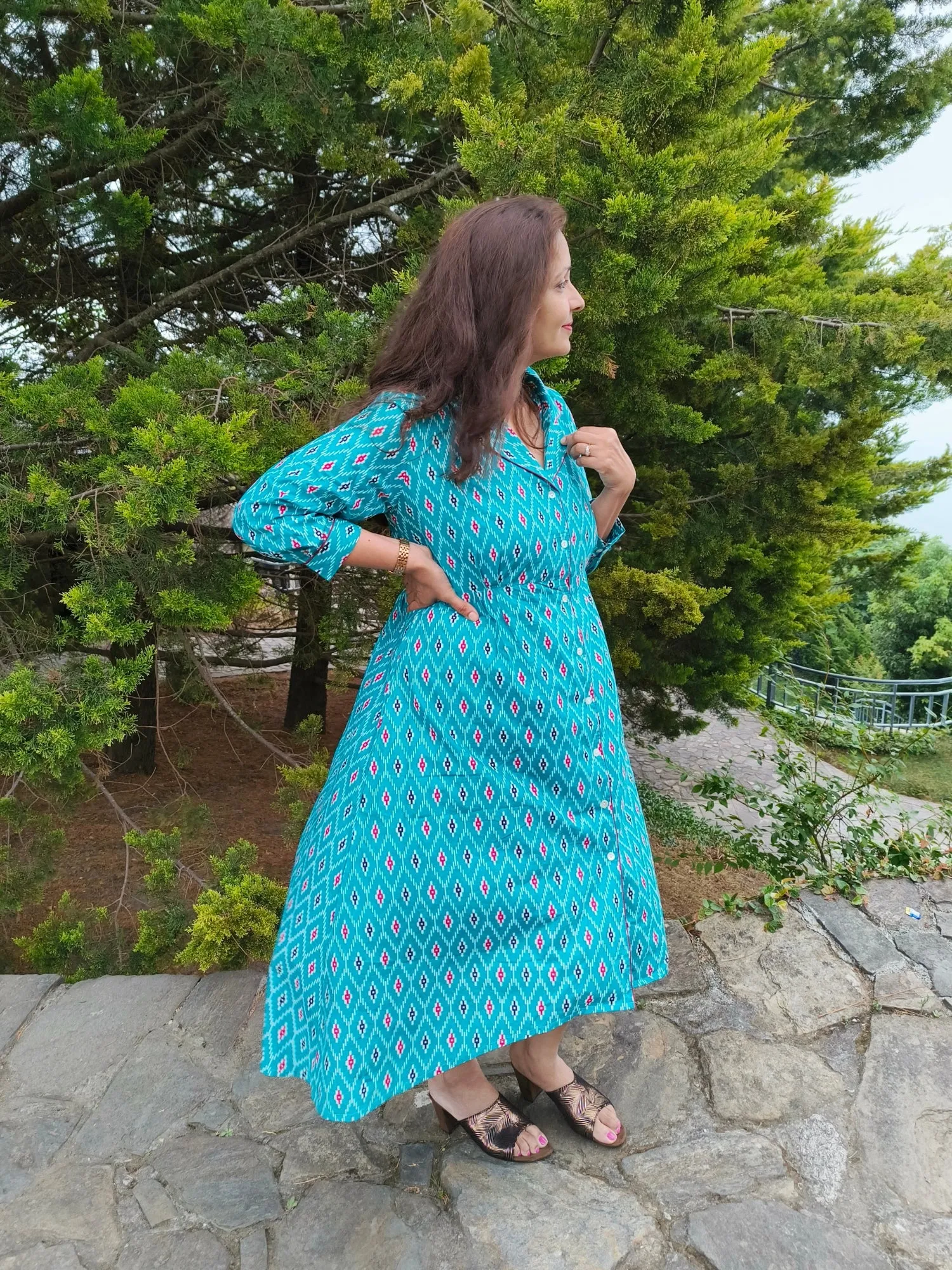 Anvesha Blue Cotton Dress