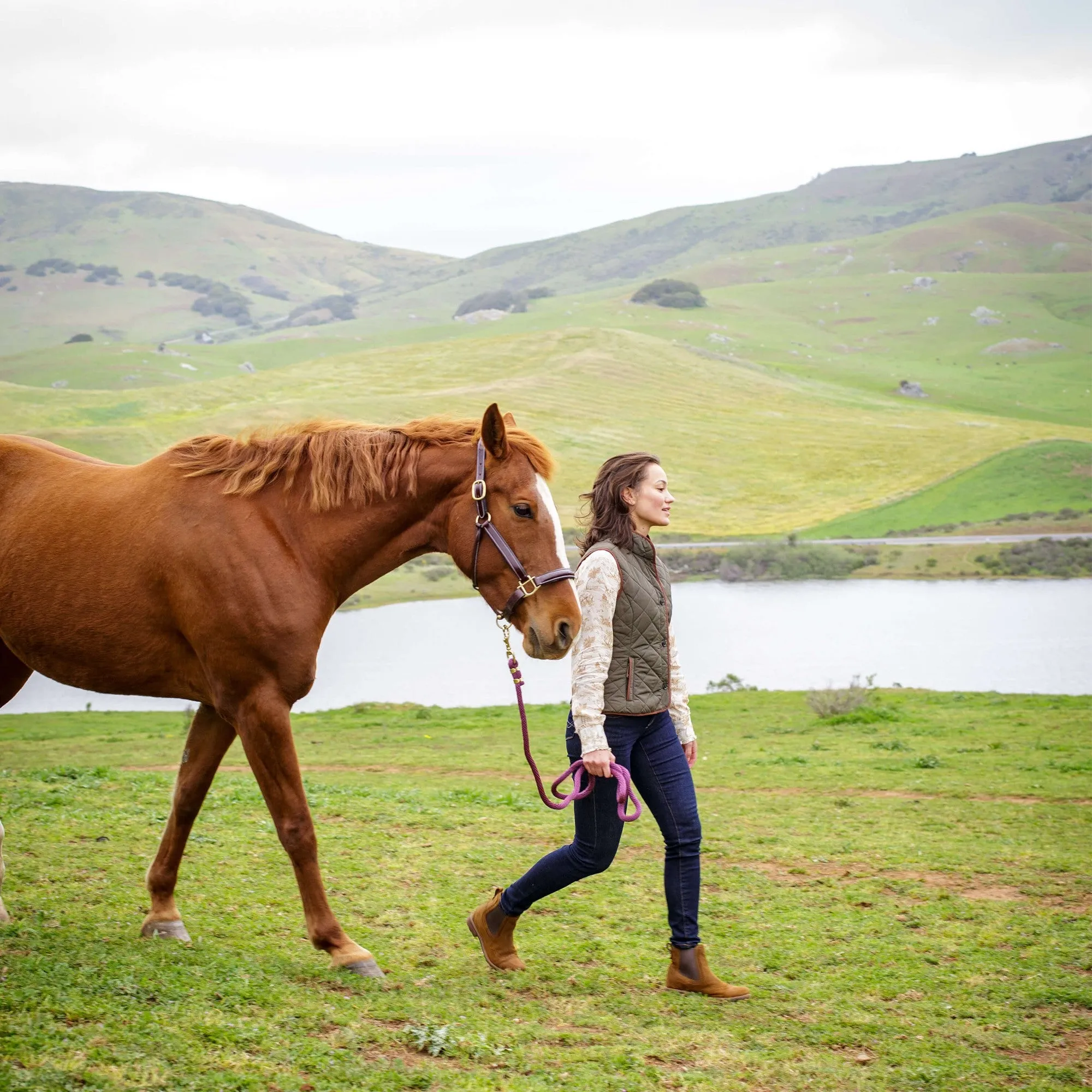 Ariat Ladies Woodside 2.0 Vest - Earth