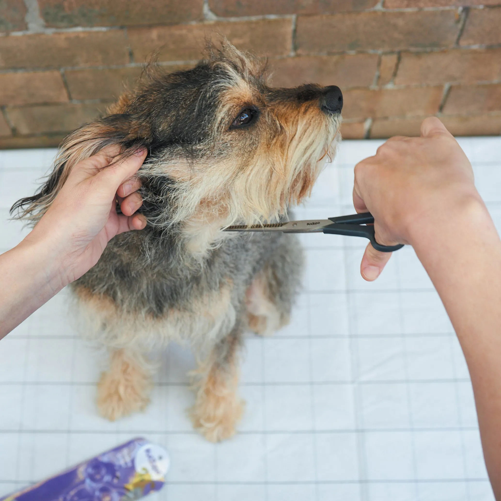 Thinning Scissors