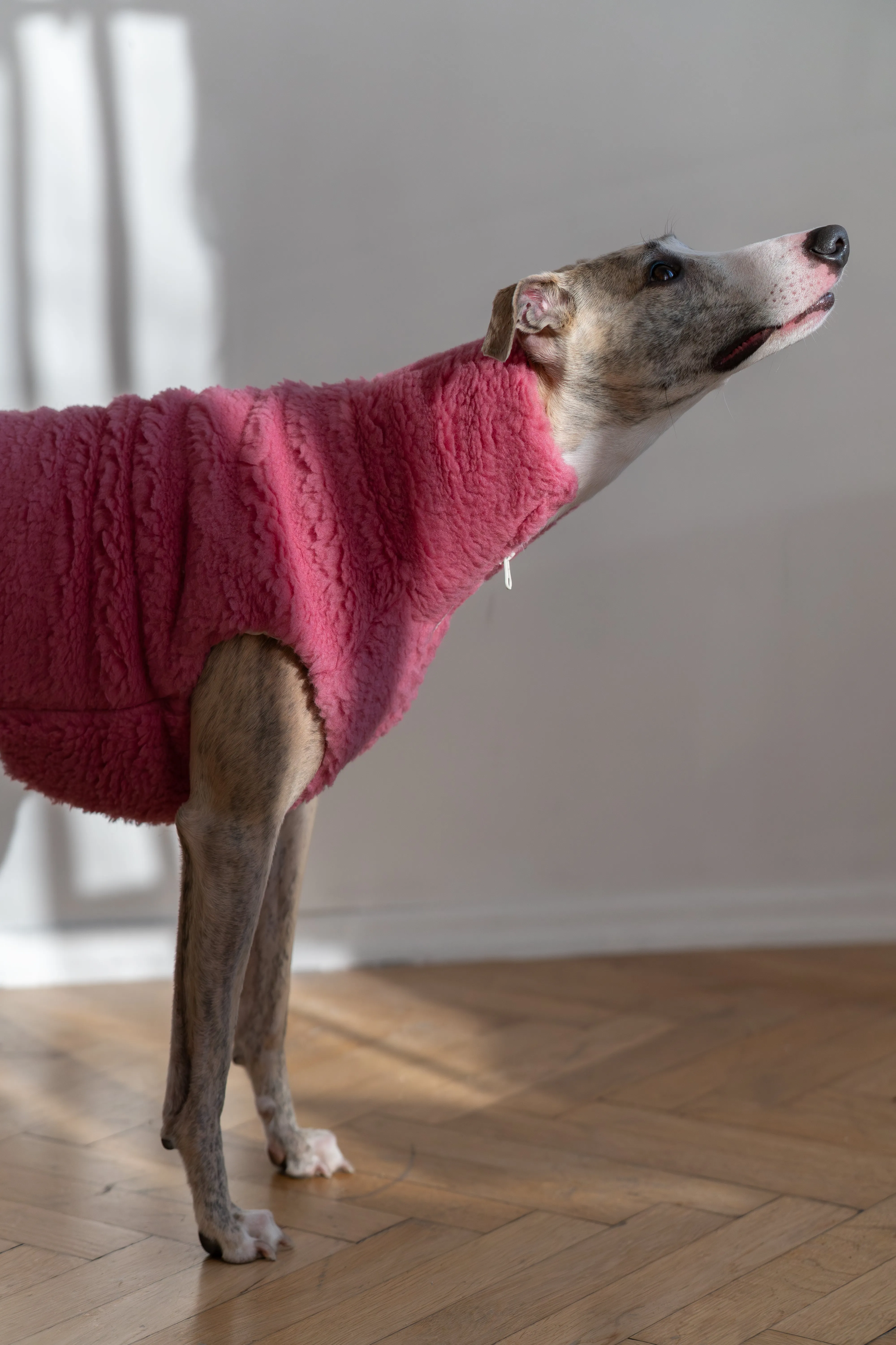 Woolen Dog Vest - Pink